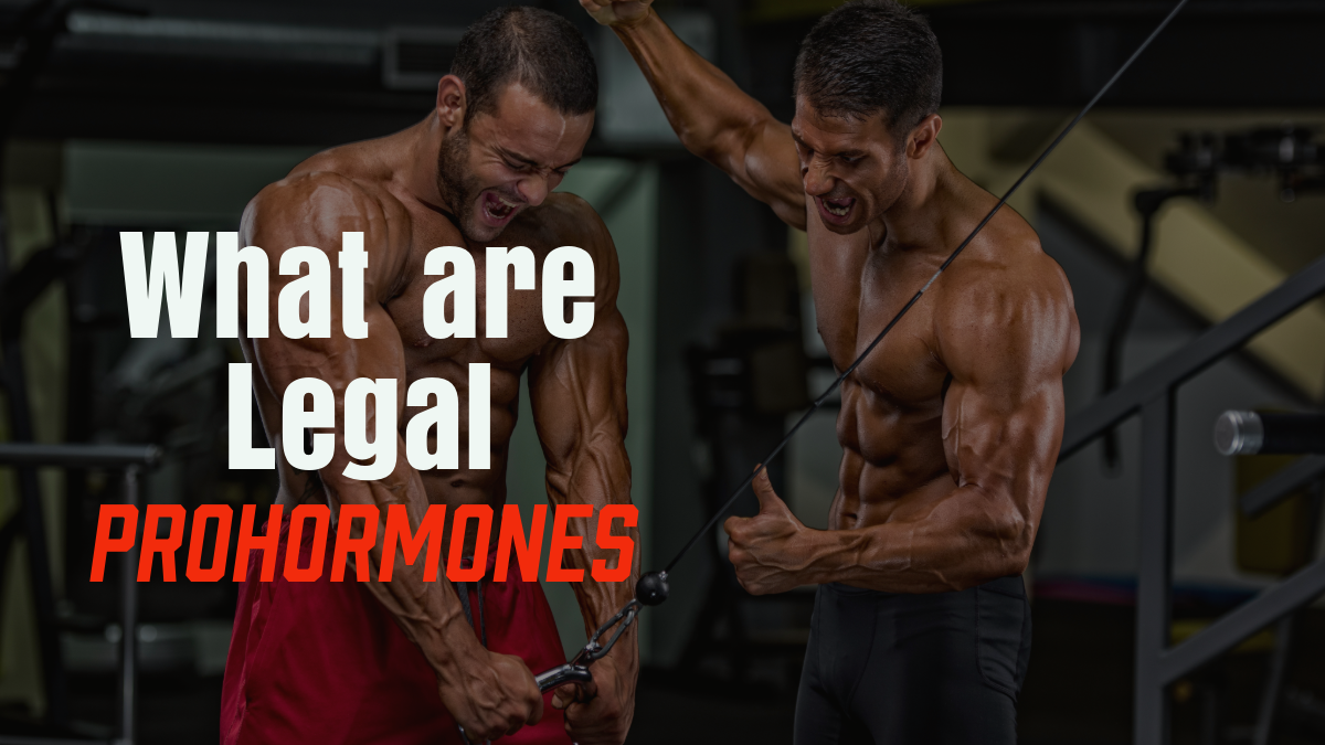 What are Legal Prohormones