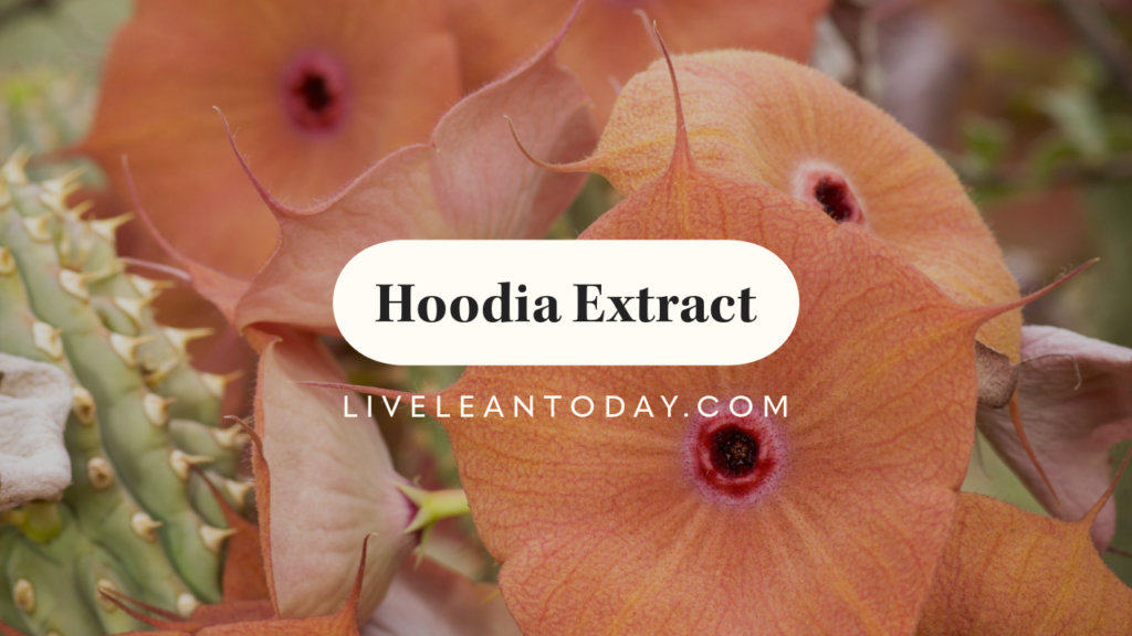 hoodia extract